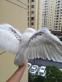 Simulácia biela sova plastická a perie vtákov veľké 32x60cm šíri krídla owl modelu,prop,domov, záhradné dekorácie, darčekové w2400