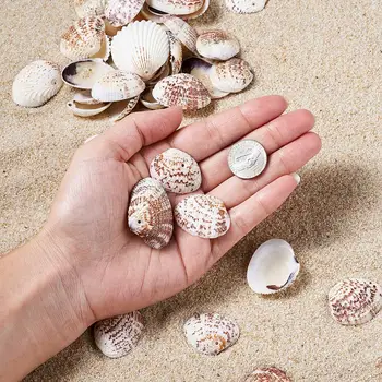 500g Blister Shell Perly Seashell Farbu Náhrdelník Náramok zvonkohry Handmade Tvorby