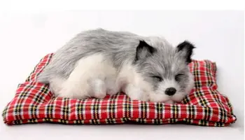 Roztomilý simulácia spanie husky, model hračka polyetylénu & kožušín, šedá psa na mat dar, o 20x15cm 0690