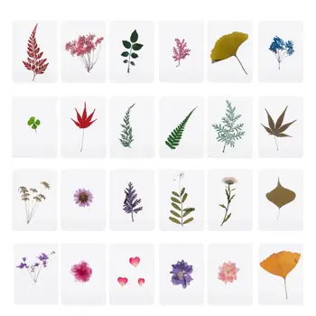 Mix Stlačené Kvet, Listy Rastlín Vzorkové Výplne pre Epoxidové Živice Šperky Robiť