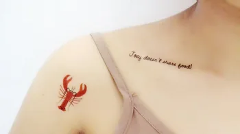 Nové 20pcs 1Lot Dočasné Tetovanie Priateľov TV Riadkov Monica Photo Frame Ste Môj Lobster