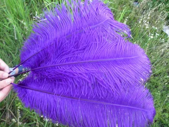 Veľkoobchod 10pcs / veľa kvalitných fialová pštrosie perie 20-22 cm 50-55 cm Svadobné dekorácie