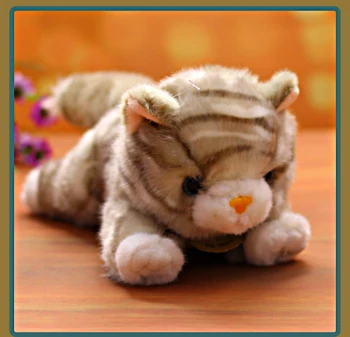 O 22 cm krásne sivá mačka plyšové hračky náchylný kitty mäkká bábika baby hračky darček k narodeninám w1200