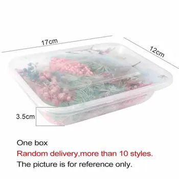 1 Box Viac Ako 8 Style Mix Kvet Stlačené Sušené Suché Listy Rastlín Pre Nail Art Dekoroch Šperky Čo DIY Príslušenstvo Náhodný