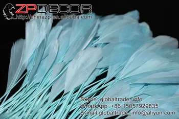 ZPDECOR 200pcs/veľa 15-20 cm(6-8 cm) Premium BLUE Farbené Vyzliekol Hus Chvostové Perá Na Karneval Featival Dekorácie