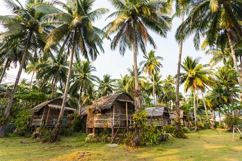 HUAYI Nádherné kokosový strom Dekorácie green field (Zelené Pole Pozadie Pozadia Pre Svadobné Party Vonkajšie Fotenie Fotografovanie W-080