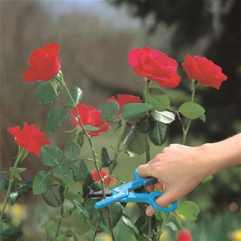 Rose Nožnice GARDENA 00359-20.000.00 Záhradné náradie, nástroj Pre záhradu a zeleninové záhony