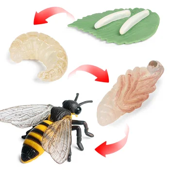 Oenux Nové Hmyzu Zvieratá Model Simulácie Bee Cyklu Rastu Honeycomb Akčné Figúrky Miniatúrne Vzdelávacie PVC Roztomilé Deti Hračky