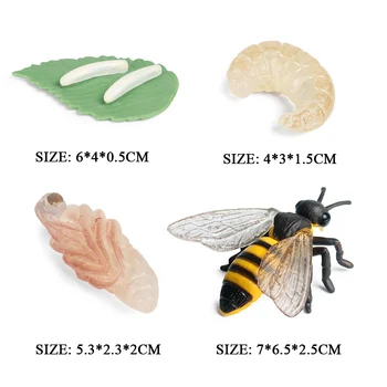 Oenux Nové Hmyzu Zvieratá Model Simulácie Bee Cyklu Rastu Honeycomb Akčné Figúrky Miniatúrne Vzdelávacie PVC Roztomilé Deti Hračky