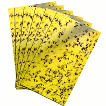 20 Ks/Set Jednorazové obojstranná Chyba Lietať Nálepky Lepiť Rada Sticky Flycatchers Špeciálne Sticky Odchytu Hmyzu Rada