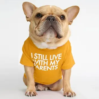 Francúzsky Buldog Psie Oblečenie Písmená Tlačené Šaty Pre Malé Psy Lete Psa T-shirt Bavlna Corgis Pugs Vianočné Psie Oblečenie