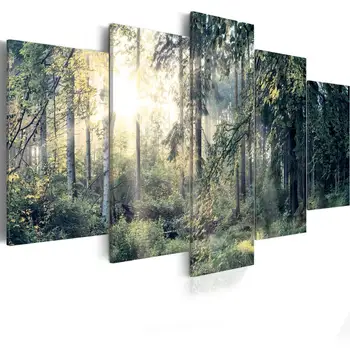 5 Ks Plátno tlač Fotografií Krásne Slniečko v Džungli Vytlačí Wall Art Domova Plátno Maľby Nástenné Dekorácie Č Rám