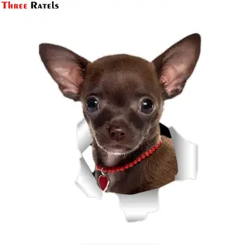 Tri Ratels QD34 roztomilý 3D roztrhané kovový dizajn, Chihuahuas psa koleso automobilu nálepky
