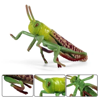 Simulácia Pevné Statické Animal Model Ozdoby Realistické Locust/Stick Hmyzu Hračka Q6PD