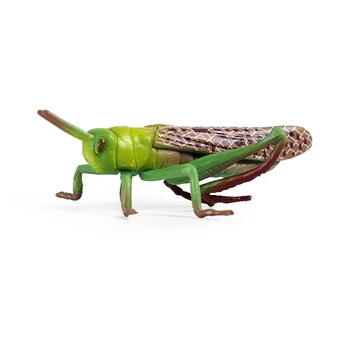 Simulácia Pevné Statické Animal Model Ozdoby Realistické Locust/Stick Hmyzu Hračka Q6PD