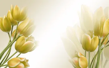 3D Záves Foto Prispôsobiť veľkosť 3D Biele Pozadie Žlté Tulipány Domov Spálne Dekorácie 3D Kúpeľni Sprchový Záves