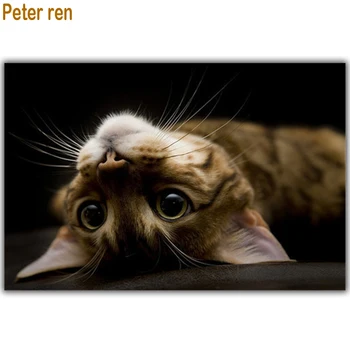 Peter ren Diamond maľovanie podľa čísel Fociaran na vyšívanie mačka Kolo\Námestie vŕtať Mozaiky ikonu Plná výšivka 