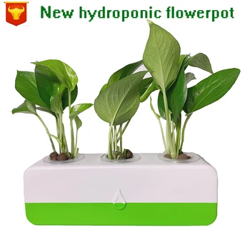 Hydroponické rastliny kvetináč krytý hydroponické plochy zelených Rastlín črepníkové soilless pestovanie pestovanie gardenbox