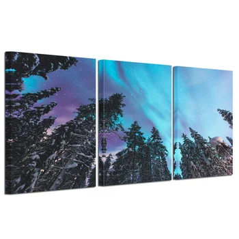 3 Kusy Plátne, Plagát, Maľovanie Aurora Borealis Tlače pre Miestnosti Dekorácie Ihličnatého Lesa HD Obraz Domova Plagát