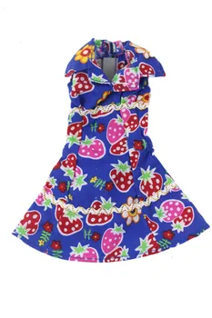 Čaro Modrej Kvetinové Šaty Vybavy Vyhovovali Sady pre Barbie BJD FR SD Bábiky Oblečenie, hranie Rolí Príslušenstvo Hračky pre Dievča