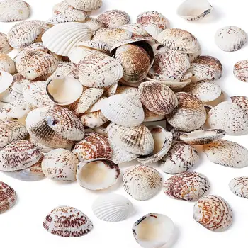 500g Blister Shell Perly Seashell Farbu Náhrdelník Náramok zvonkohry Handmade Tvorby