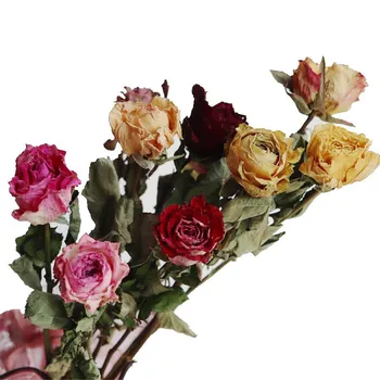 10pcs Sušené Kvety Ruže Romantický Bublina Malé Ruže Kvet Suché Kytice bytového zariadenia Zdobiť