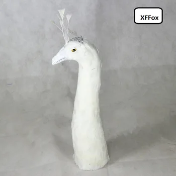 Simulácia biely páv hlavu model pena&pierko reálnom živote páva vták hlavu darček asi 40 cm xf1146