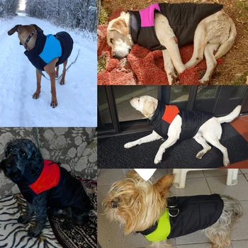 Zimné Psa Šteňa Šaty, Vesta Bunda Chihuahua Oblečenie Teplé Oblečenie pre psy, Kabát Pre Malé a Stredne Veľké Psy 4 Farby S-5XL