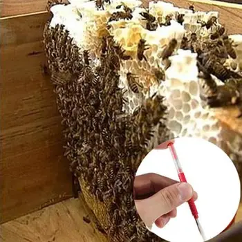 Včelárstvo Nástroj 10Pcs Vrúbľovanie