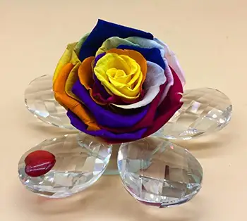 Eterna ružová konzervované rainbow multicolor. 5 lístkov crystal kvet. Multicolor Večný Rose. Vyrobené v Španielsku