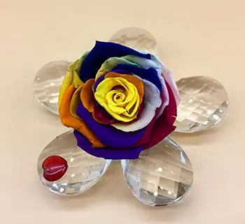 Eterna ružová konzervované rainbow multicolor. 5 lístkov crystal kvet. Multicolor Večný Rose. Vyrobené v Španielsku