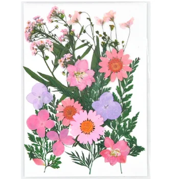 Skutočné Sušené kvety Stlačené Suché Kvety Rastlín pre Aromaterapiu Sviečka Epoxidové Živice Náhrdelník Šperky Robiť Plavidlá DIY Príslušenstvo