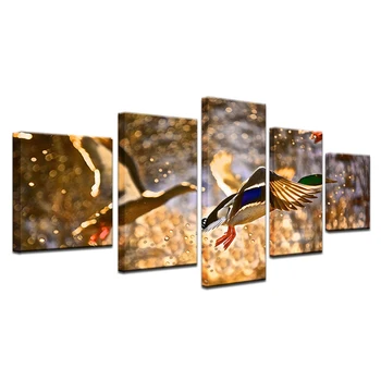 5 Panel Prírodné Krásne Zviera Kačica Rozšíriť Krídla Plátno na Maľovanie HD Tlače Plagát na Stenu Umenie Fotografie Pre lôžková Izba Domova