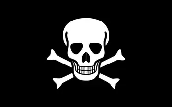 Lebečnej kosti vlajky pirátske 3*5 FT vlajky na ozdobu