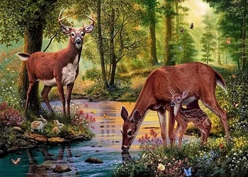 Predaj DIY diamond obrazy jelene v lese