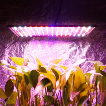 1000W Led Rásť Stan фитолампа Rásť svetlo celé Spektrum Lampa Pre Rastliny, Kvety, Pestovanie Kvetu Led Svetlá Pre Indoor Pestovanie
