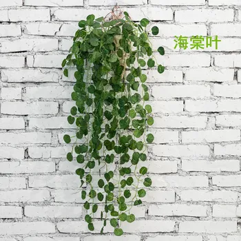 Model Epipremnum Aureum Chlorophytum Nástenné Závesné Dekorácie Ratan Evergreen Begonia Zelene Nástenné Dekorácie Na Stene Byť