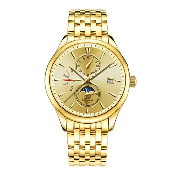 Švajčiarsko Karneval Značky Luxusné Mužov Watche Auto Mechanické Hodinky Mužov Sapphire reloj hombre Svetelný relogio hodiny C8732-2