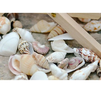 Vtipné 1 taška DIY Zmiešané mušľami Shell Plavidlá Akvárium Námorných Dekor Ozdoby, Vence