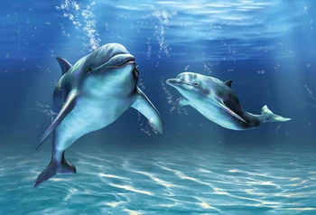 Laeacco Dolphin Podmorský Svet Portrét Scény Dieťa Fotografie Prostredí Prispôsobené Fotografického Pozadia Pre Photo Studio