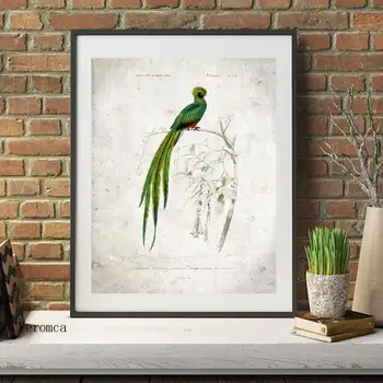 Vintage Jednoduché, Krásne Vtáky Ilustračného Plagátu objavia Retro Wall Art Plátno Maľby Zvierat Obrázok pre Obývacia Izba Domova