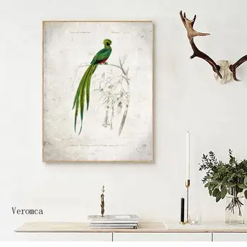 Vintage Jednoduché, Krásne Vtáky Ilustračného Plagátu objavia Retro Wall Art Plátno Maľby Zvierat Obrázok pre Obývacia Izba Domova