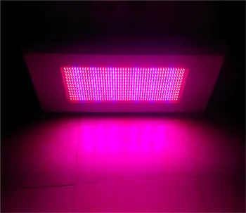 1500W LED Rásť svetlo červená modrá 8:1 576x3w pre Kvitnúce Rastliny a Hydroponické Systém