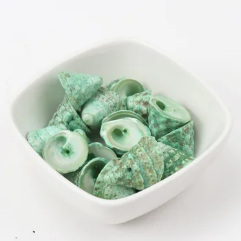 16-22 mm ekologické Prírodné Špirála Shell Voľné Korálky pre šperky, takže DIY 10pcs TRS0130X