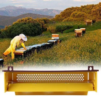 Plastové Peľ Pasce Bee Vedenie Nástroje Zásobník Vstup Peľ Zberateľ Včelár Včelárskych Dodávky Nástroje