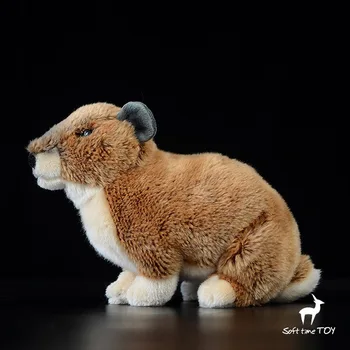 Deti Hračky, Puzzle Afriky Kopyto Králik Bábika Reálnom Živote Capybara plyšáka Hračka Najväčší myši Zriedkavé