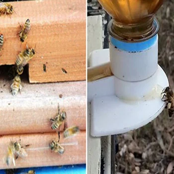 10 Ks Úli Vstup Feeder Včelárskych Vody Feeder Bee Pitnej Hniezdo Dvere Včelár Pohár Nástroj včelie hniezdo kŕmenie