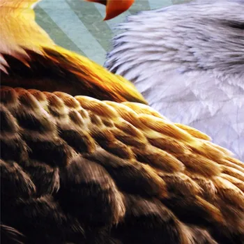 3D Eagle Perinu Nastaviť voľne Žijúcich Zvierat, Podstielky Nezávislosť Eagle Deka Kryt Kráľovná domáci Textil, Čierna Zvierat Posteľ Nastaviť Dropship