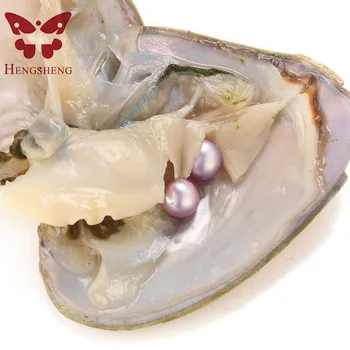 Vysoká AAA 30pcs dvojičky prírodné perly ustrice, Individuálne balenie 7-8mm sladkovodné kolo Akoya dvojičky pearl ustríc