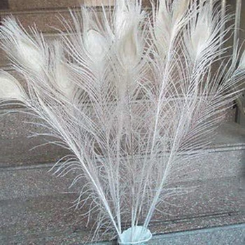 50 KS/Prírodná Biela Páva Perie v Oku, 10 až 12 Centimetrov Páv Pierko Svadobné Dekorácie